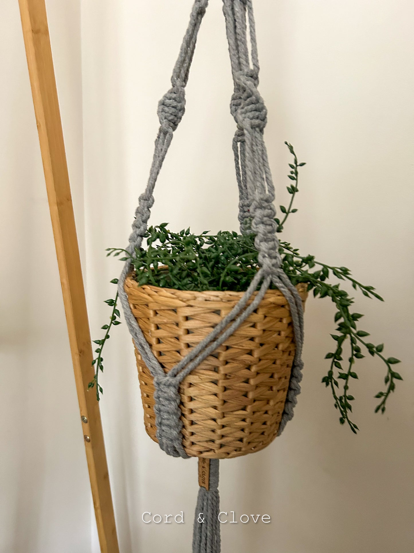 JASMINE Macrame Plant Hanger