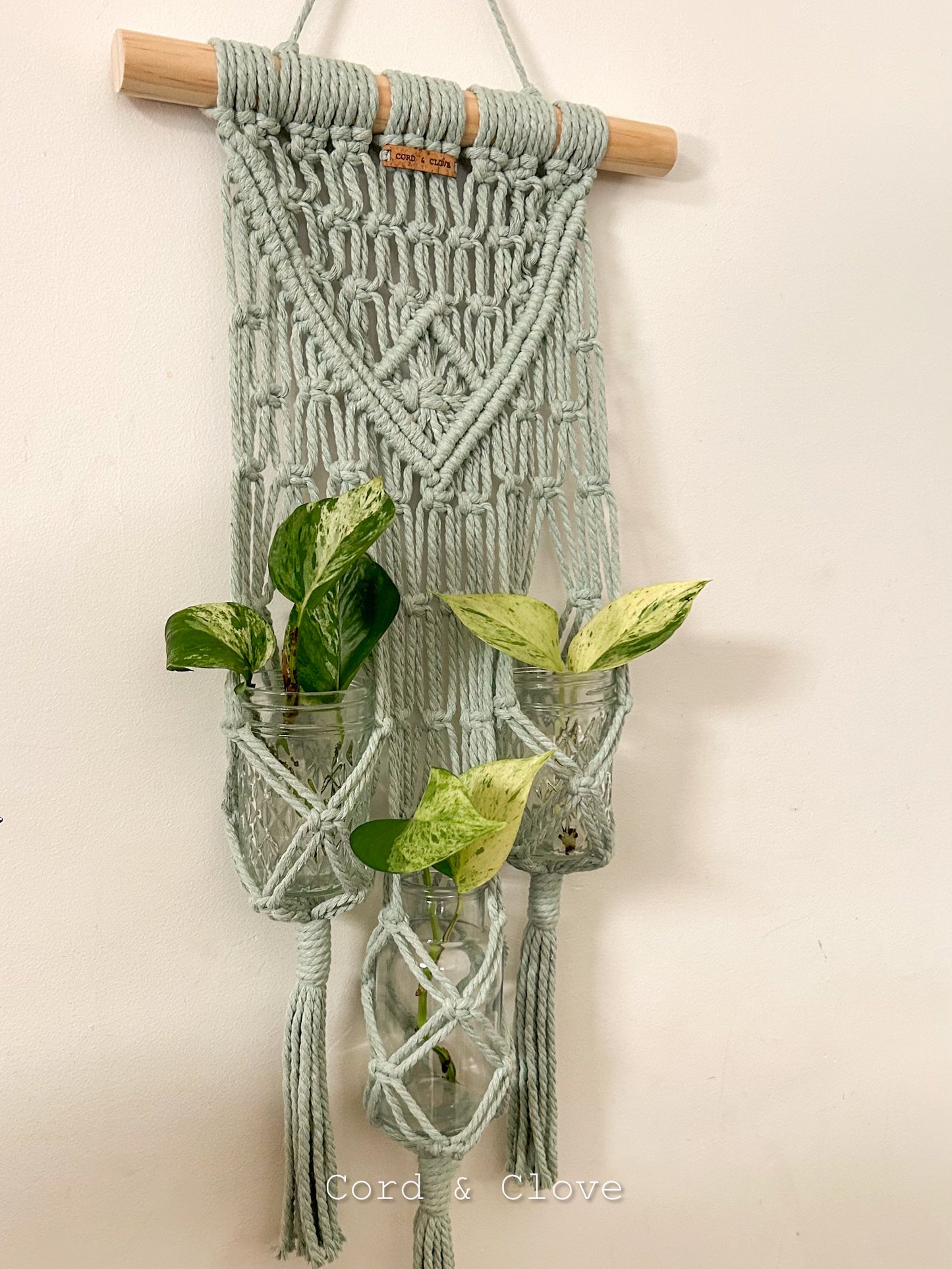 Propagation Wall Hanging 1