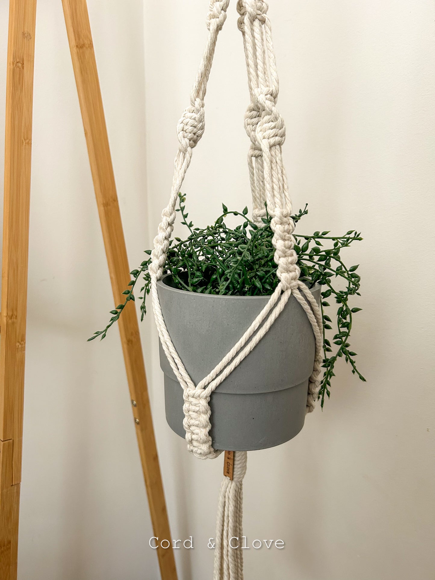 JASMINE Macrame Plant Hanger