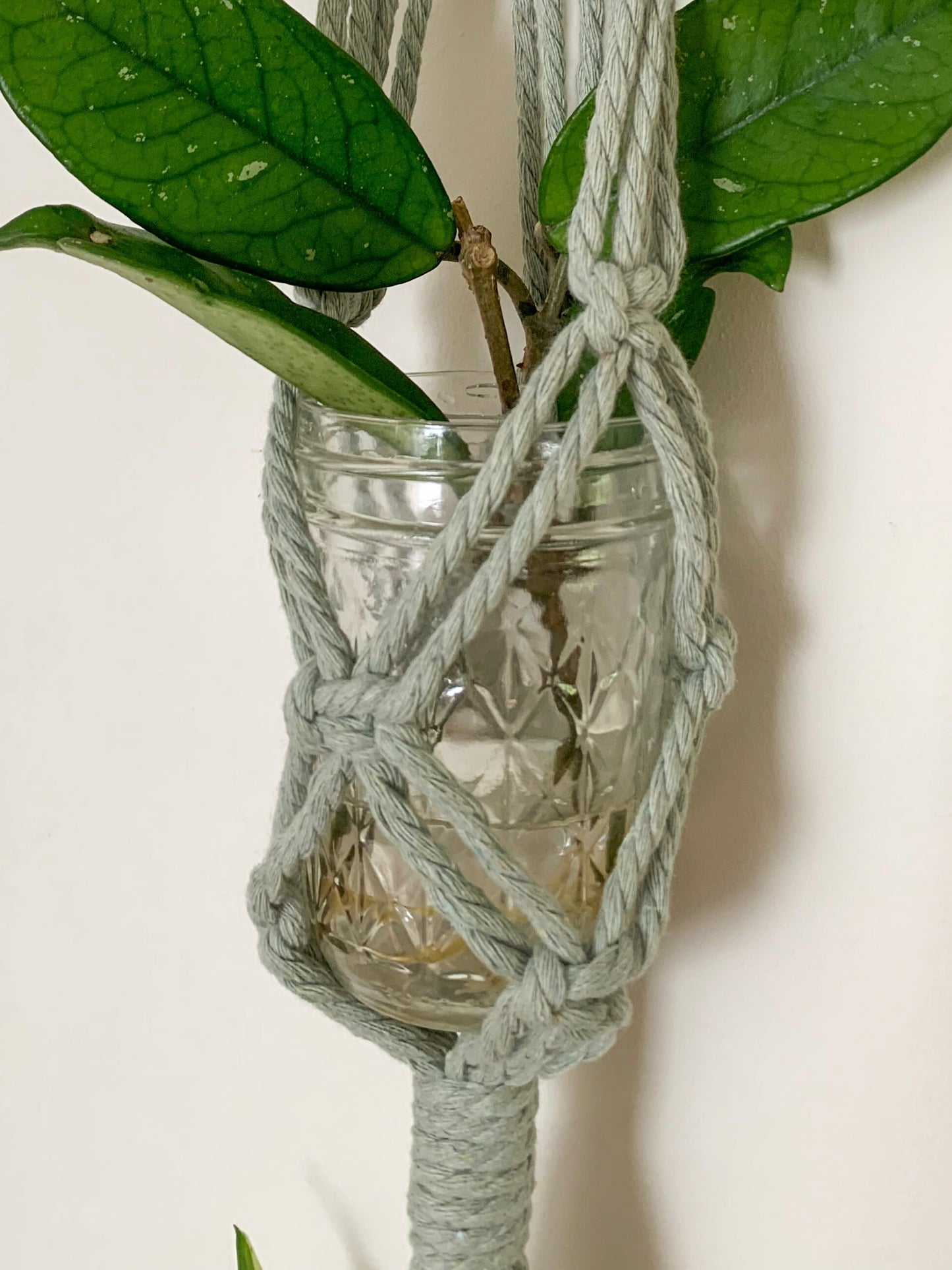Propagation Wall Hanging