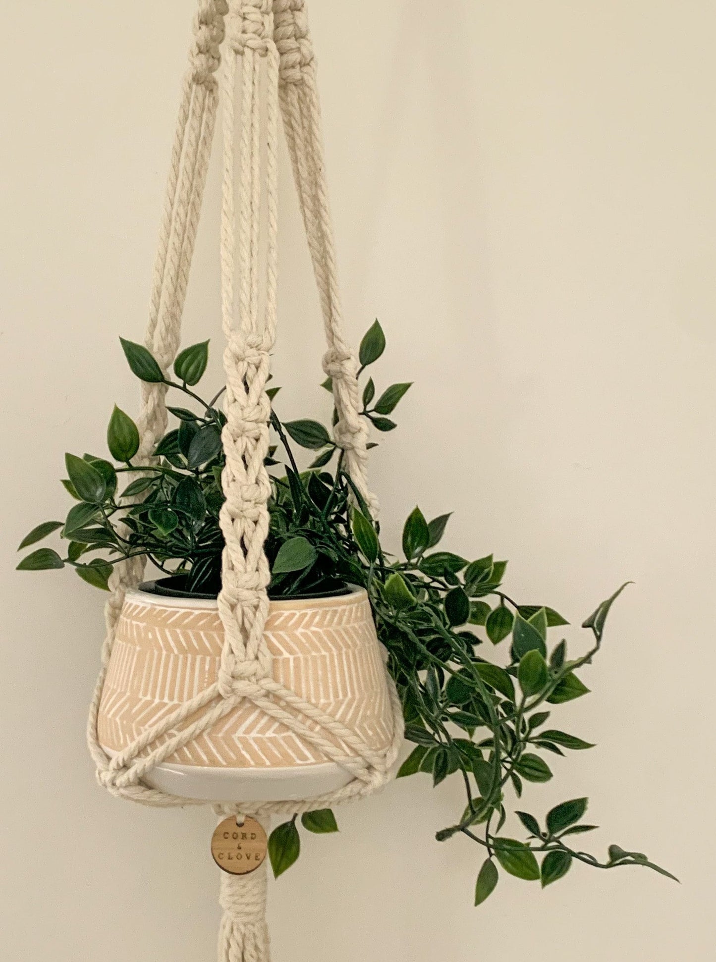 BLUSH Ceramic Planter