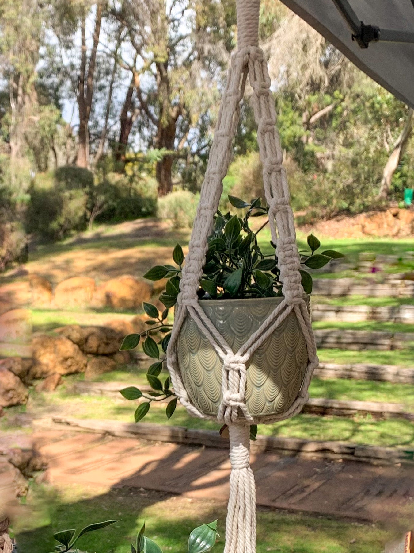 IVY Macrame Indoor Plant Hanger