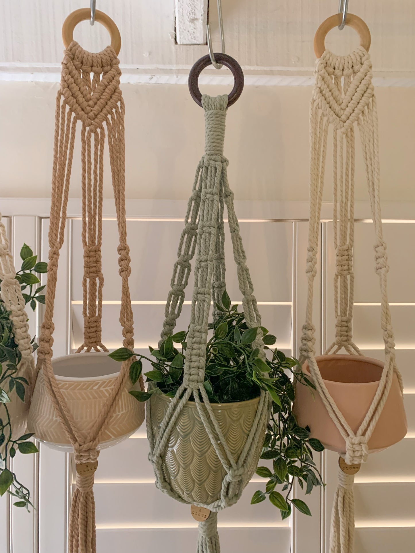 VENUS Macrame Indoor Plant Hanger
