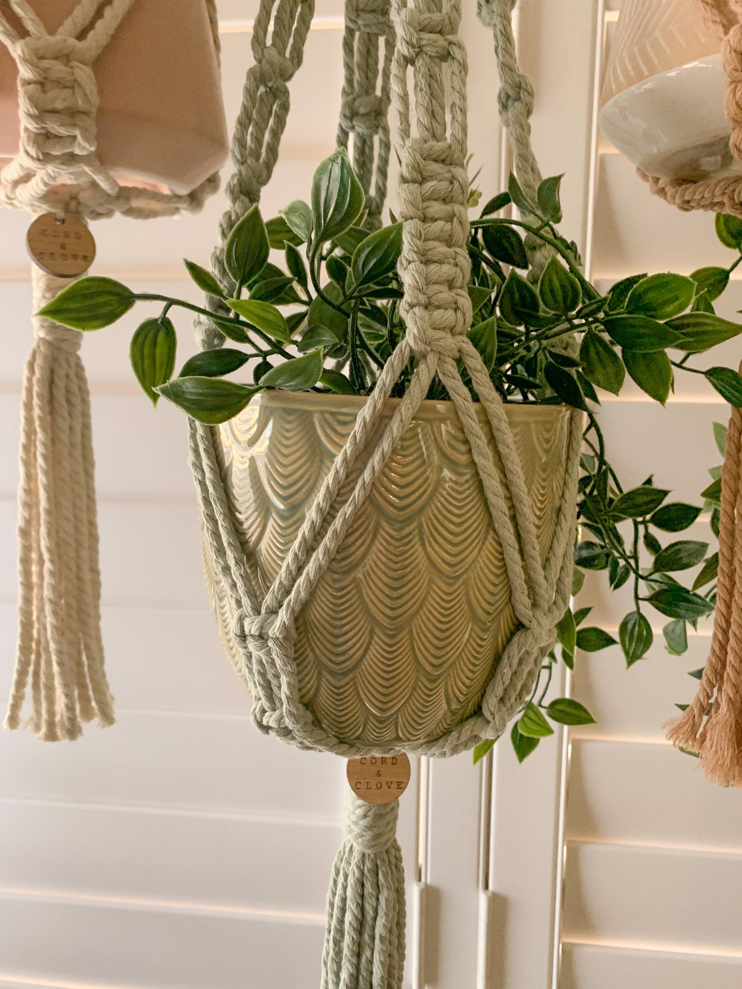 IVY Macrame Indoor Plant Hanger