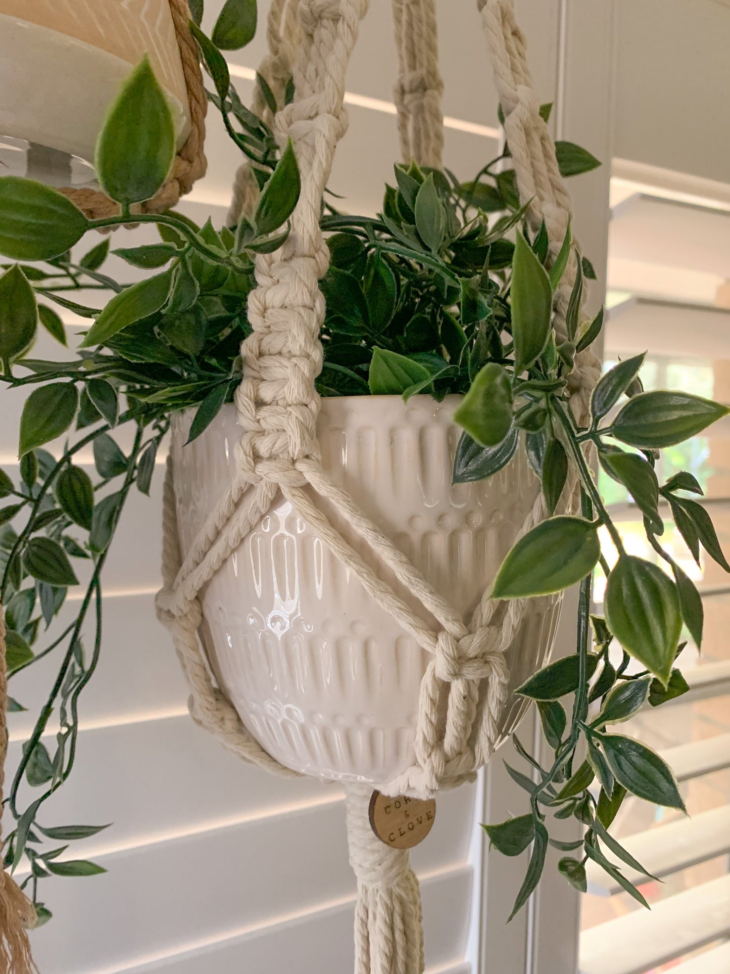 IVY Macrame Indoor Plant Hanger