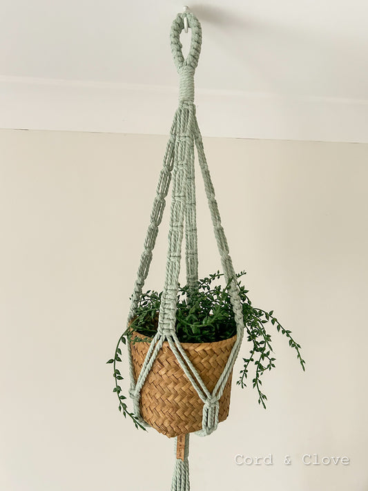 IVY Macrame Indoor Plant Hanger