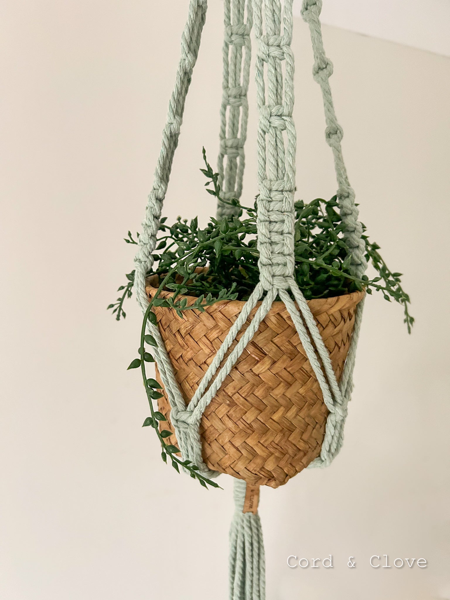 macrame potted plant Macrame Indoor Plant Hanger "IVY" – Cord & Clove
