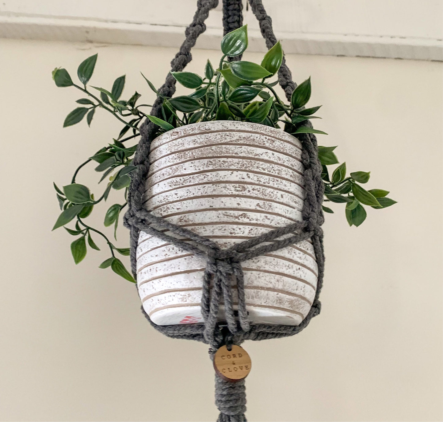 WILLOW Macrame Indoor Plant Hanger (small)