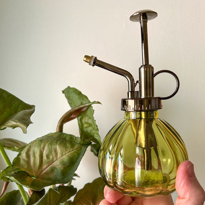 Glass Plant Mister Spray Bottle