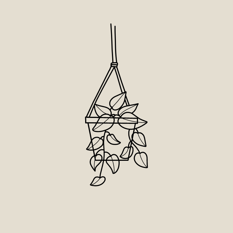 Cord & Clove Macrame