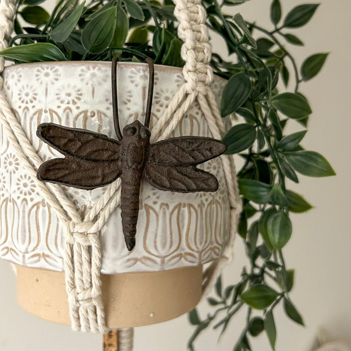 Decorative dragonfly on a macrame plant hanger with green leaves.