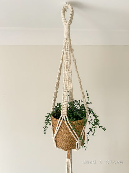 IVY Macrame Indoor Plant Hanger