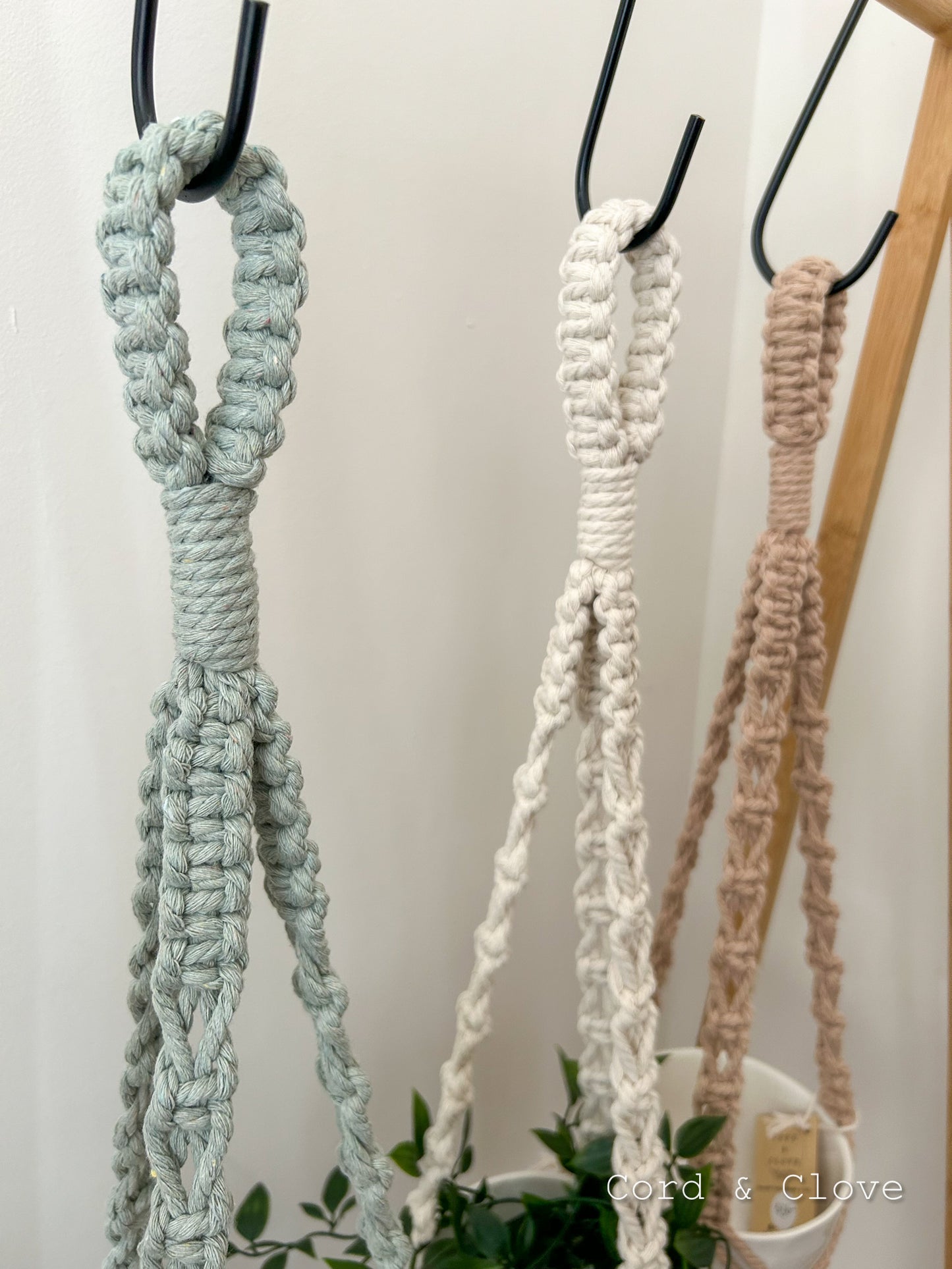 WILLOW Macrame Indoor Plant Hanger